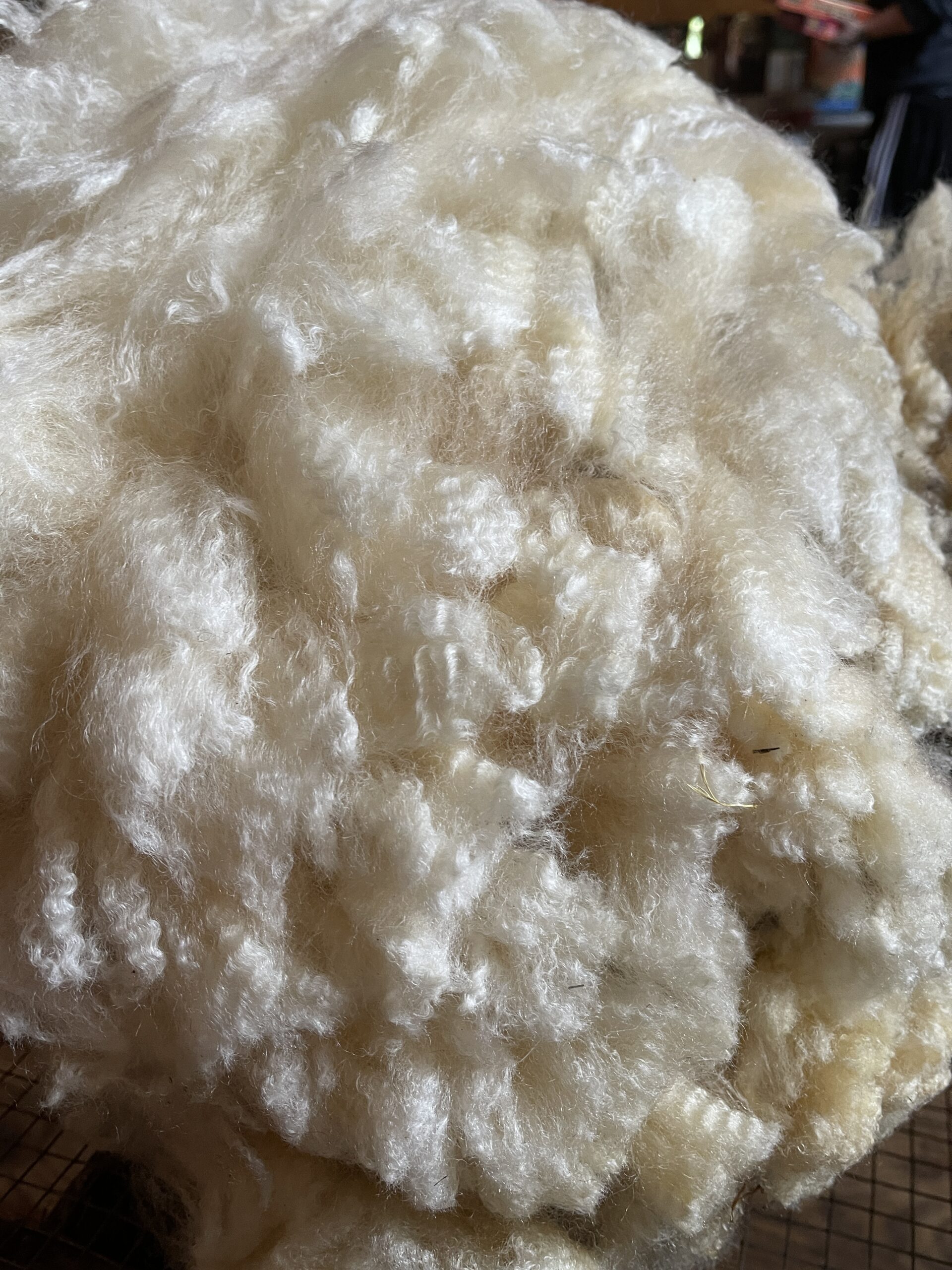 My First Fleeces